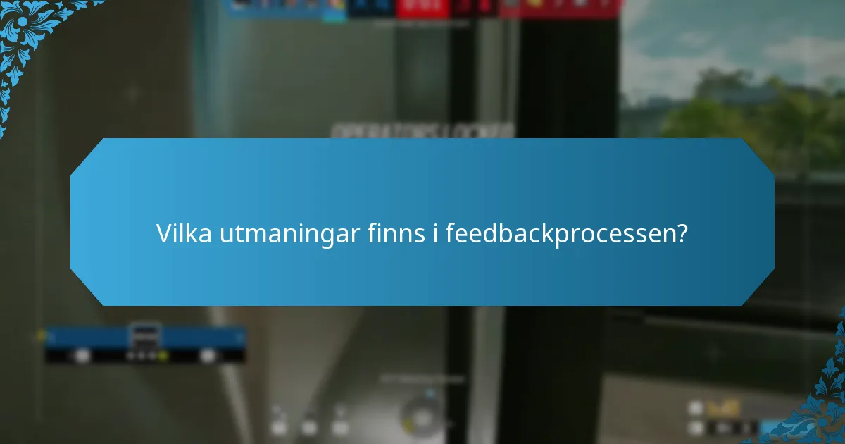 Vilka utmaningar finns i feedbackprocessen?